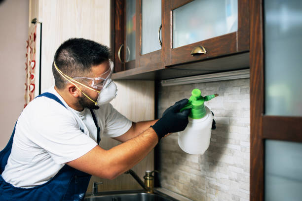 Best Affordable Pest Control Services  in Snyder, OK