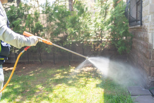 Best Rat Extermination Near Me  in Snyder, OK